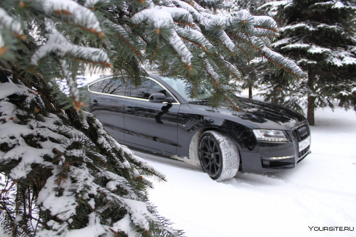 Audi a4 зима