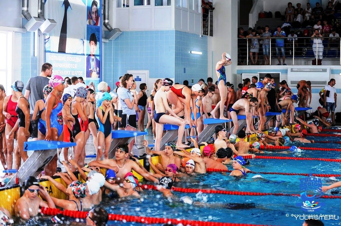 Детская лига плавания Поволжье соревнования
