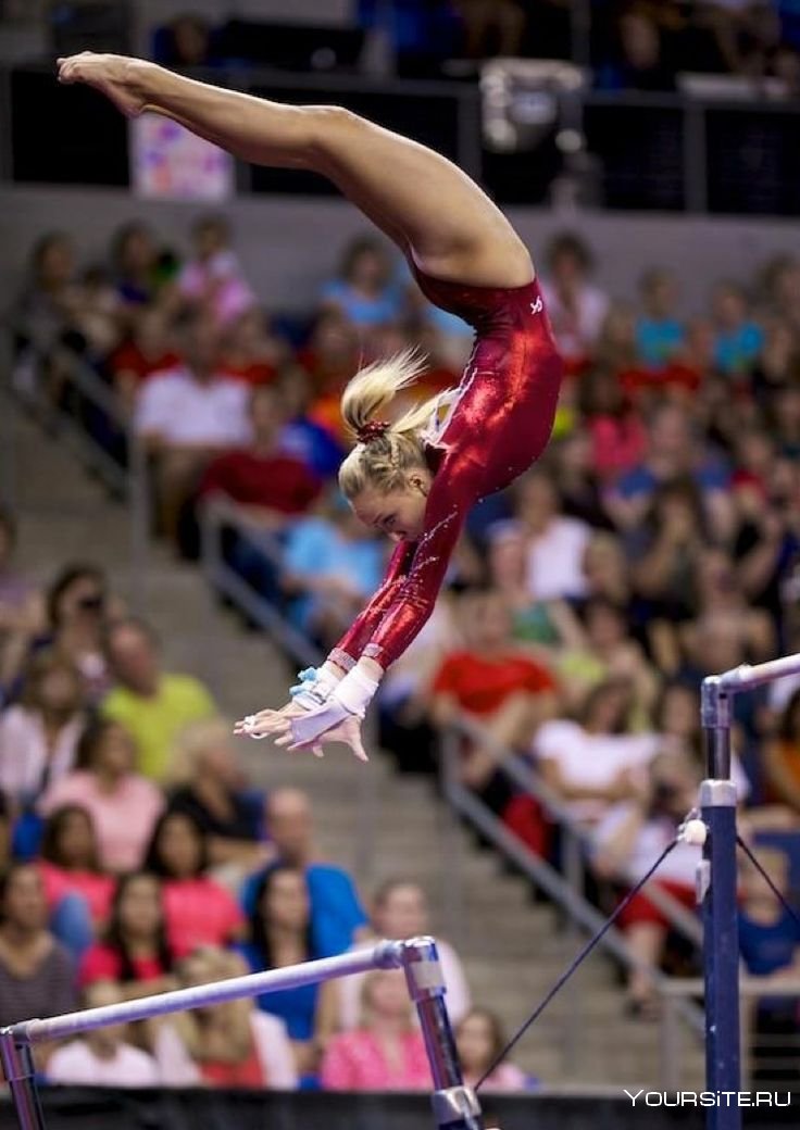 Nastia Liukin - Gymnastics,
