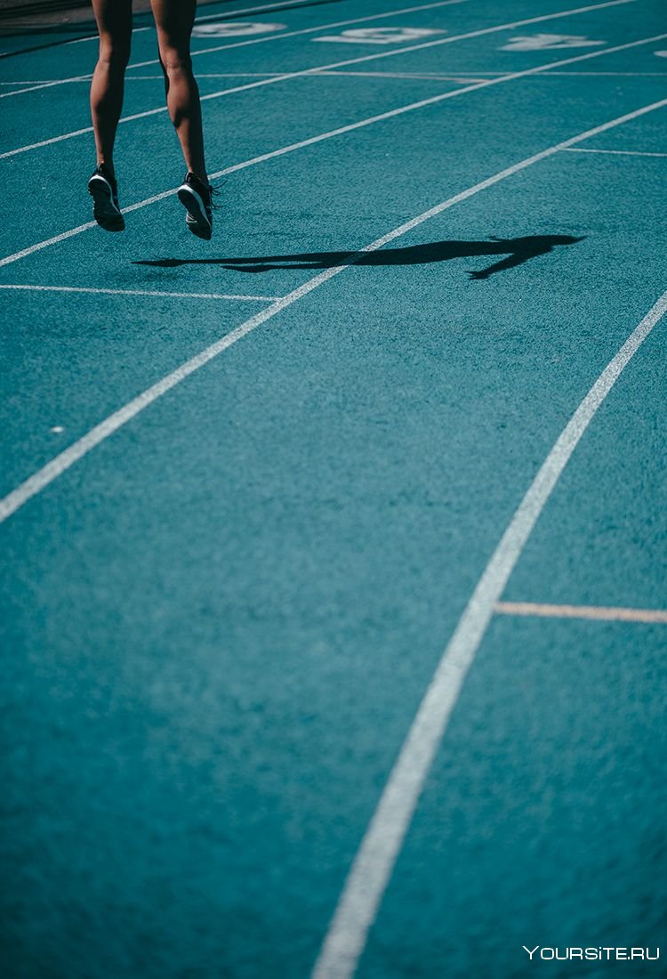 Спорт Эстетика