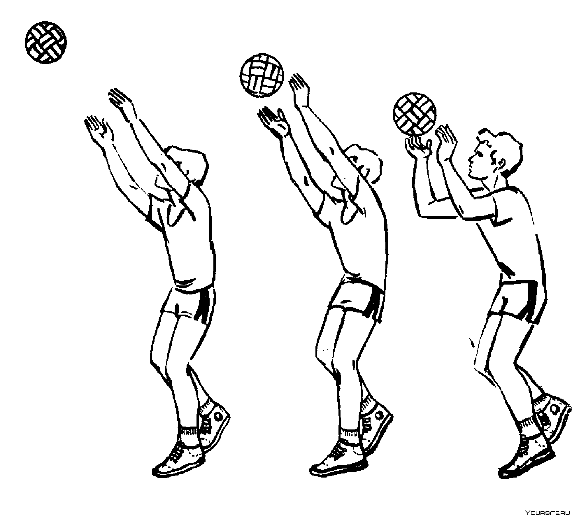 Передача мяча(сверху двумя руками ,снизу двумя руками в волейболе. Передача мяча сверху двумя руками в волейболе. Передача мяча 2 руками сверху в волейболе. Прием мяча снизу в баскетболе техника выполнения.