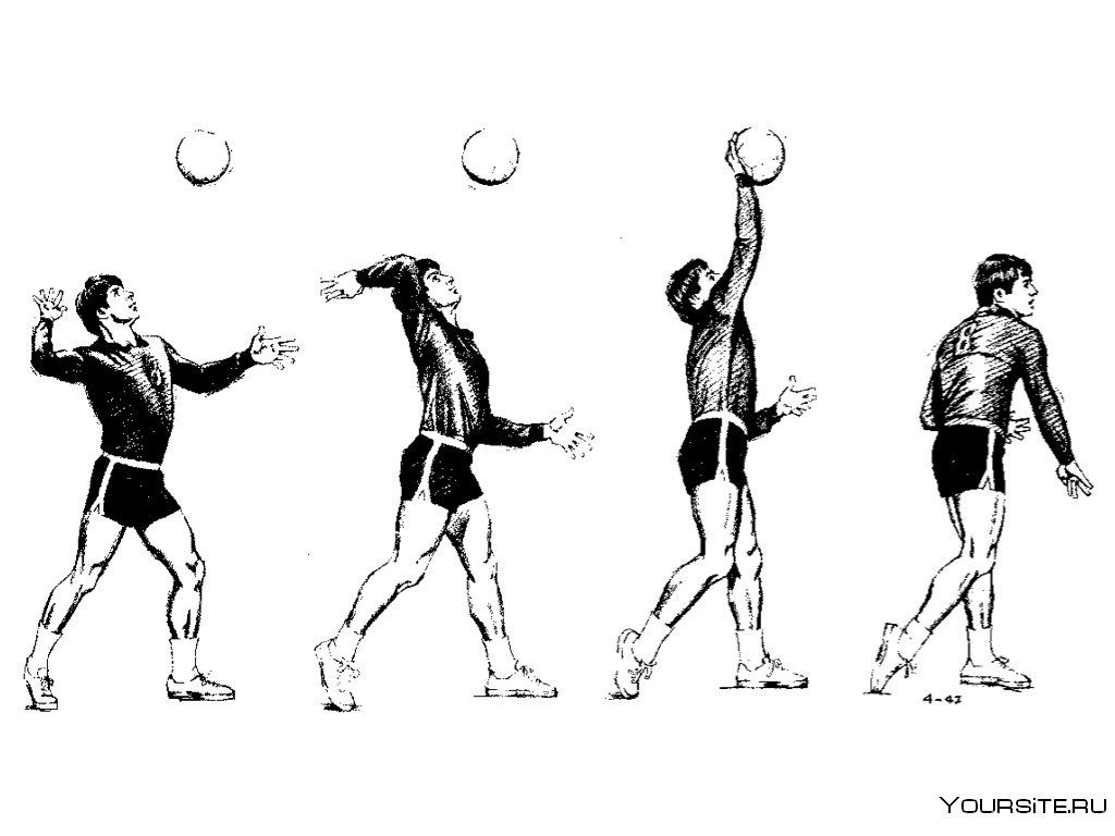 Техника верхней подачи мяча в волейболе