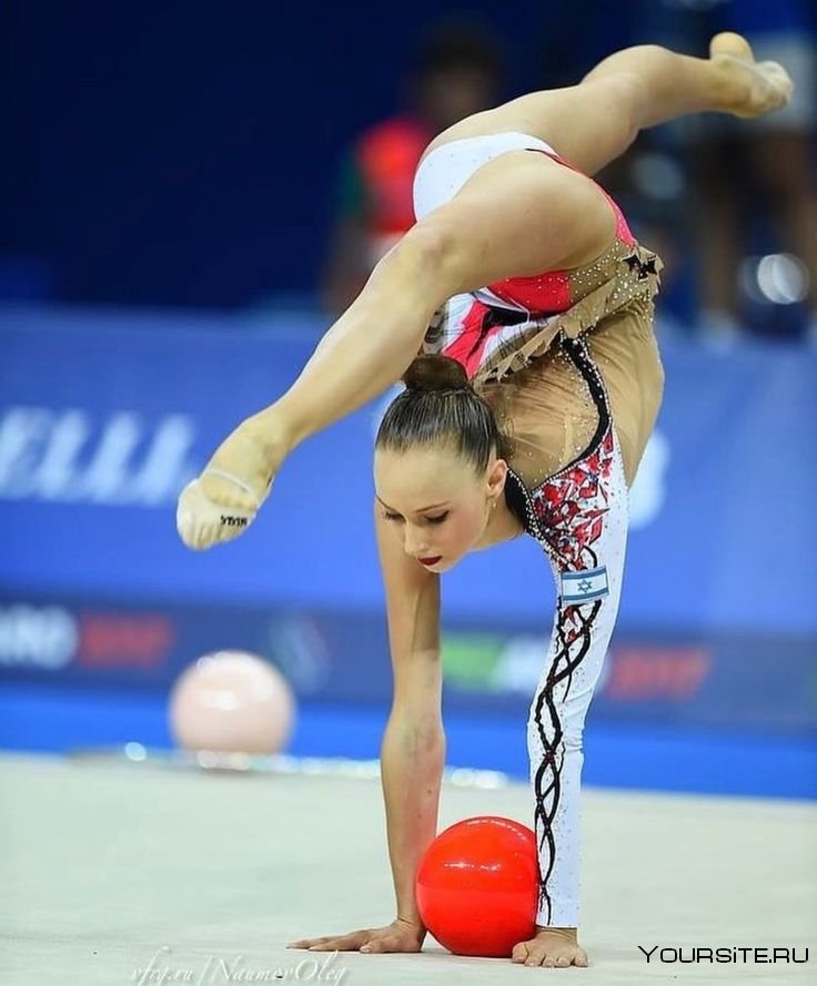 Николь Воронков художественная гимнастика
