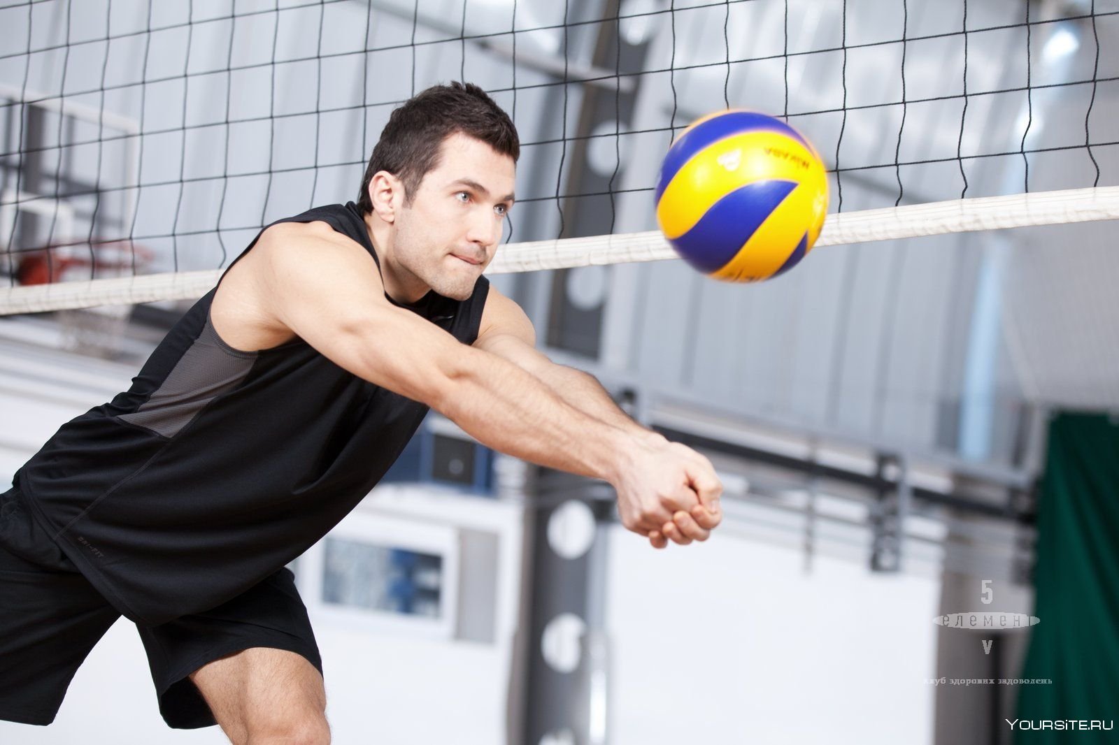 Мужчины играли в волейбол. Драган Станкович волейболист. Волейбол мужской. Профессиональный волейбол.