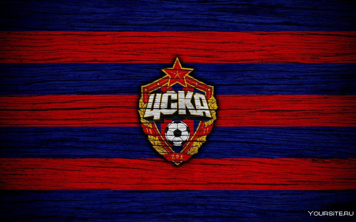 Спортивное общество ЦСКА