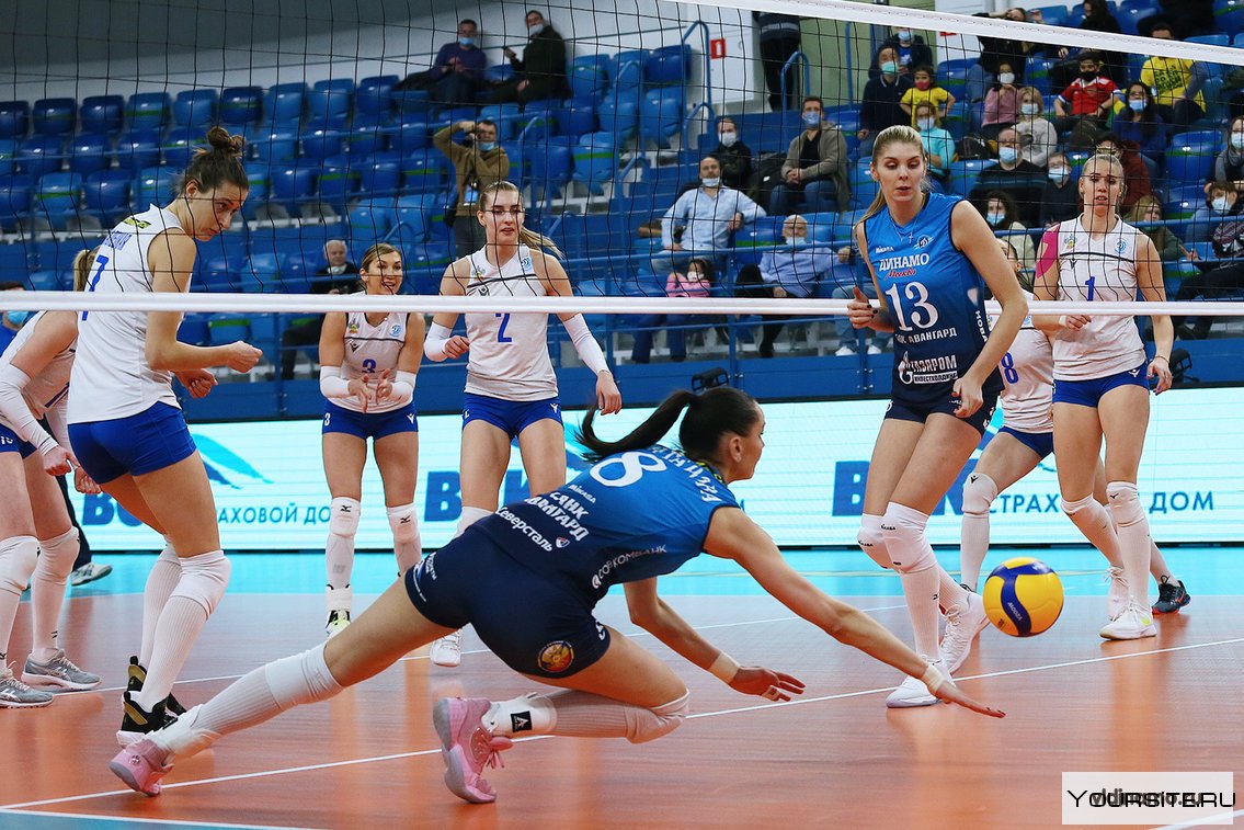Волейбол суперлига женщины сегодня. Женская волейбольная команда Динамо Краснодар. Команда Динамо Краснодар волейбол женщины.