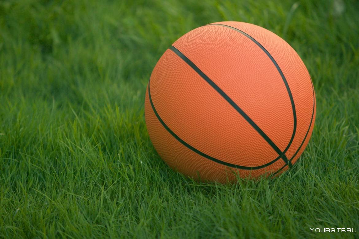 Баскетбольный мяч на земле