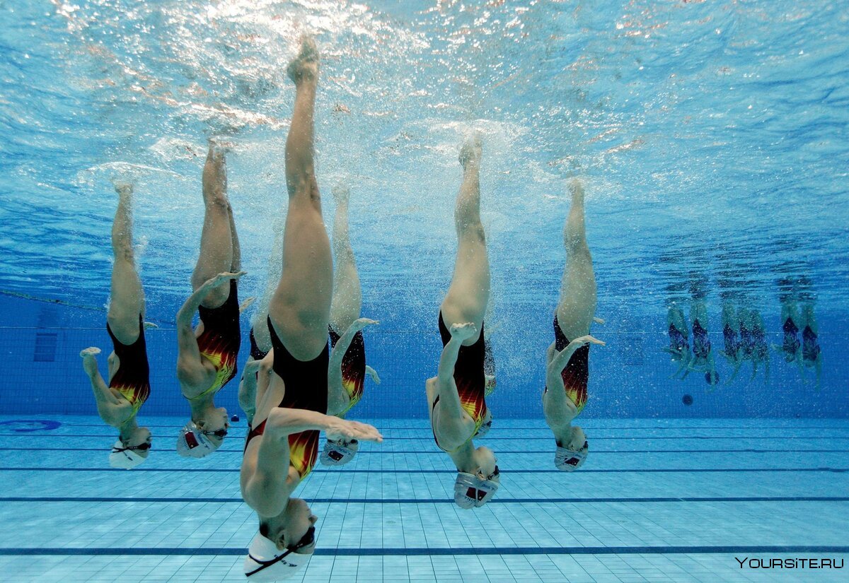 МГФСО синхронное плавание тренеры