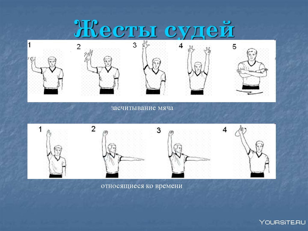Правила волейбола судейские жесты в волейболе