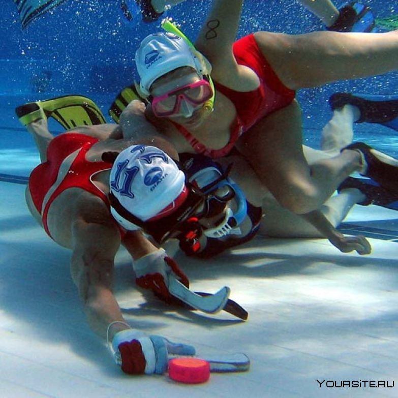 Подводное плавание вид спорта