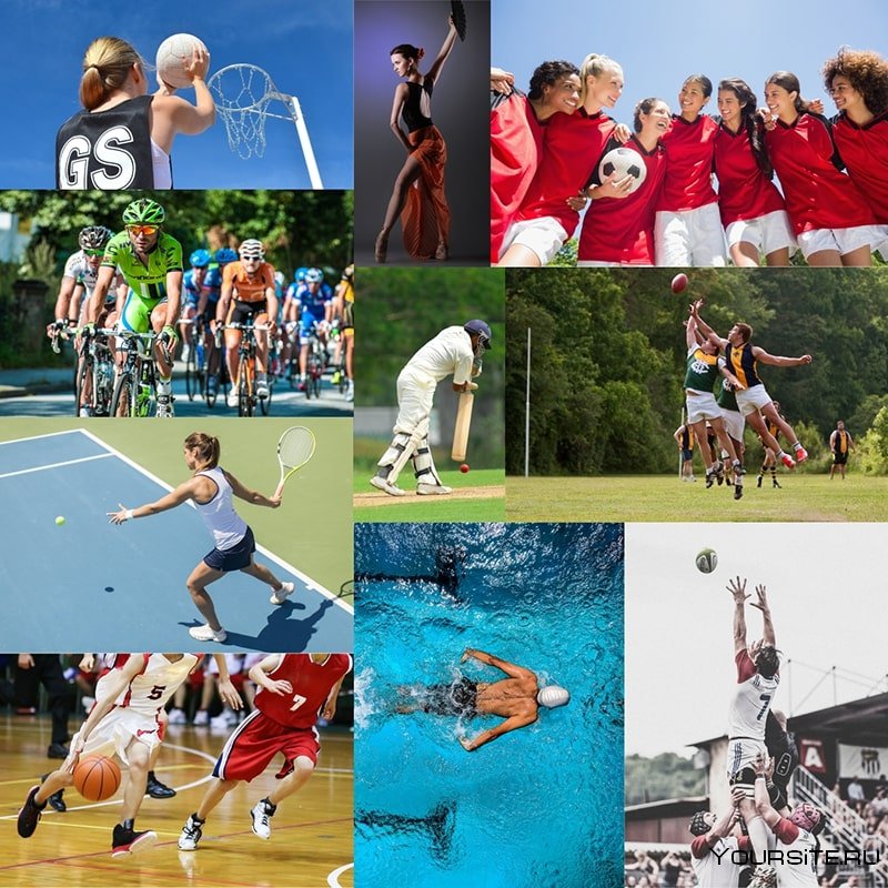 Виды спорта
