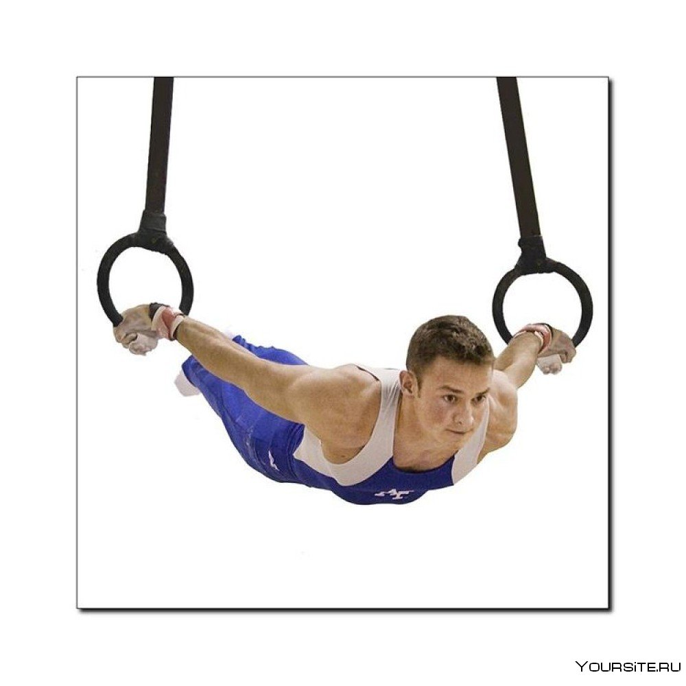 Брусья Gymnova