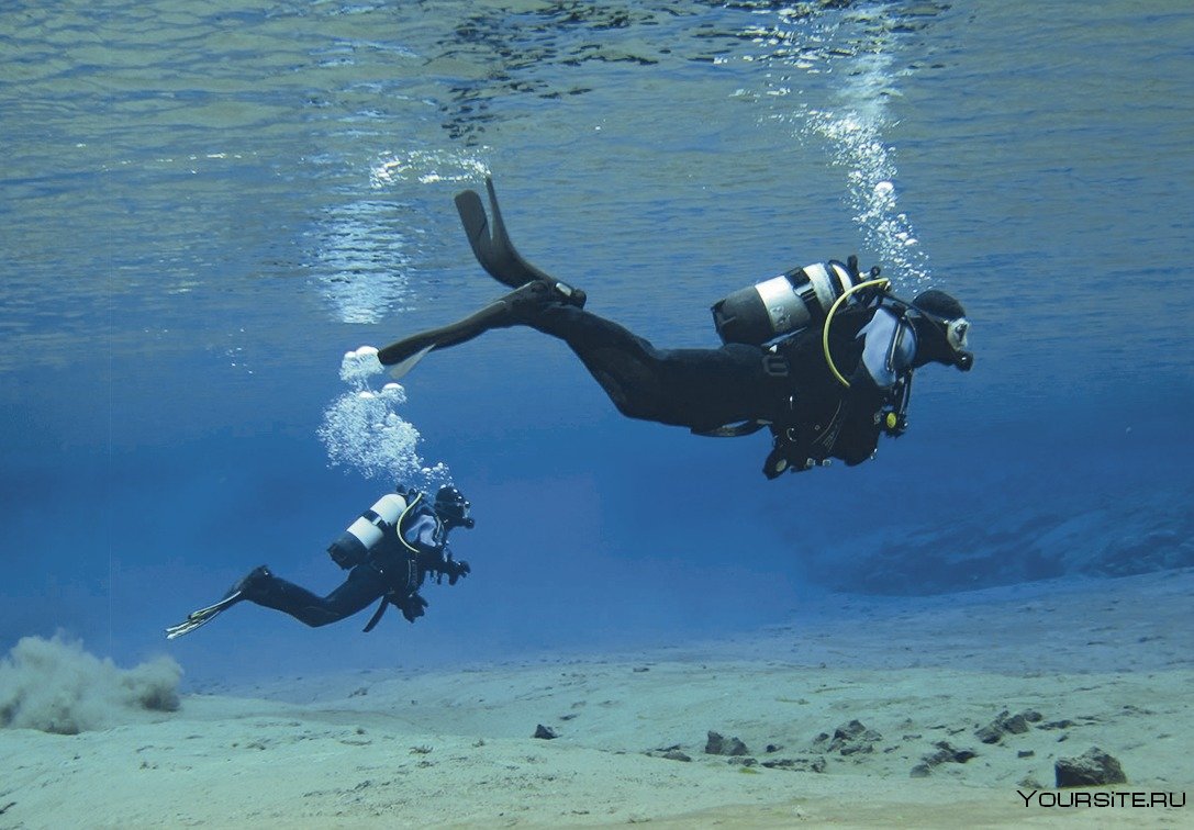 Подводное плавание вид спорта