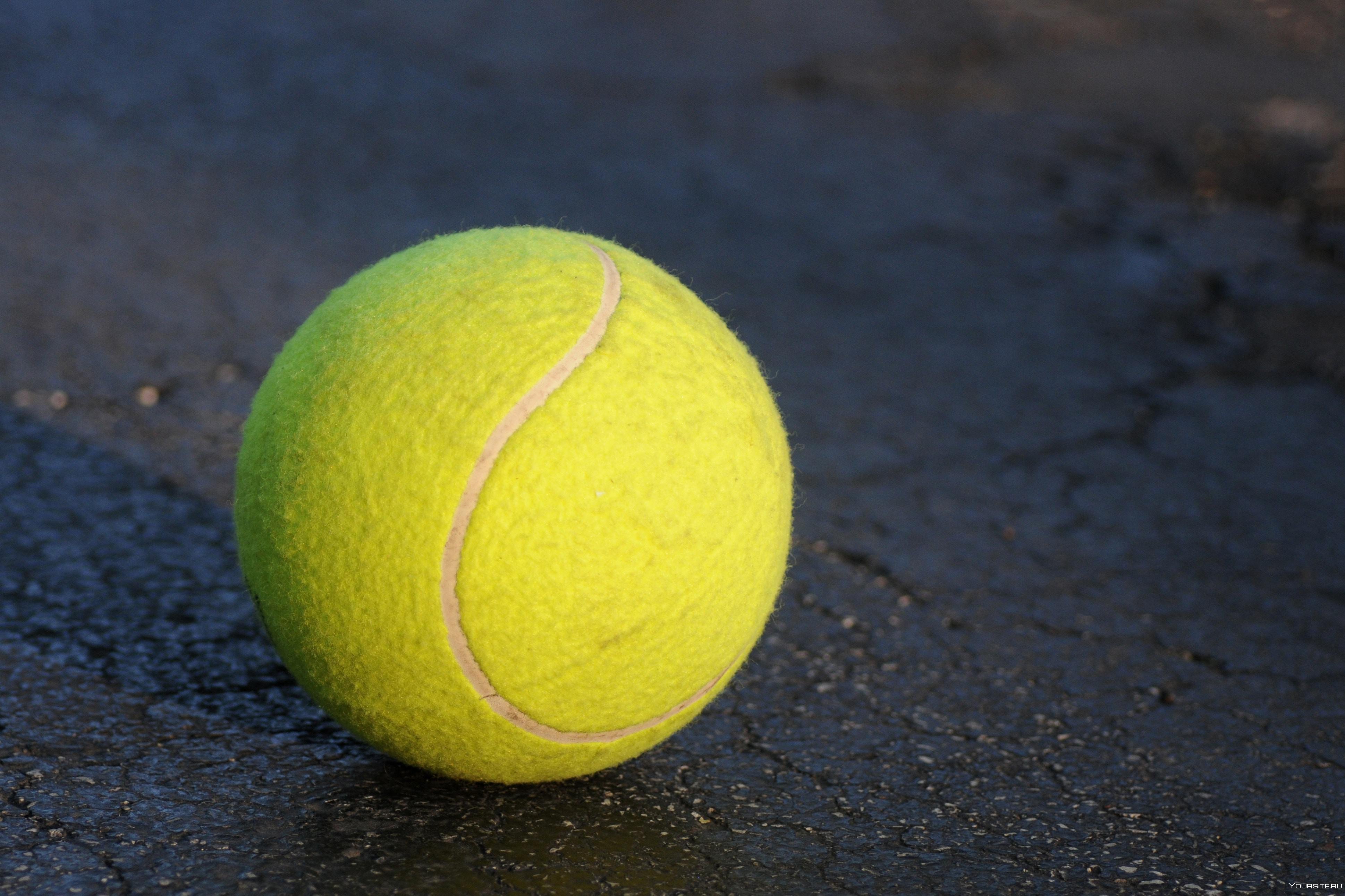 Представьте ядро размером с теннисный мячик. Теннисный мяч лакост. Теннис Болл. Теннисный мяч для большого тенниса 602. Желтый теннисный мячик.