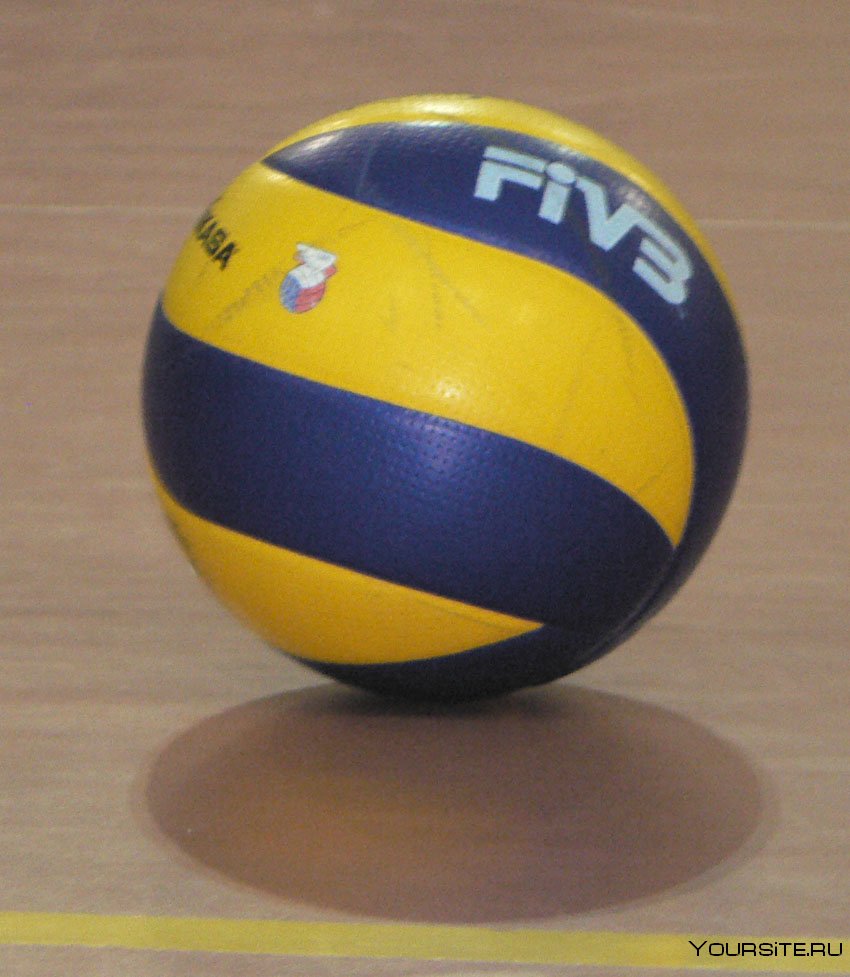 Волейбольный мяч Франция