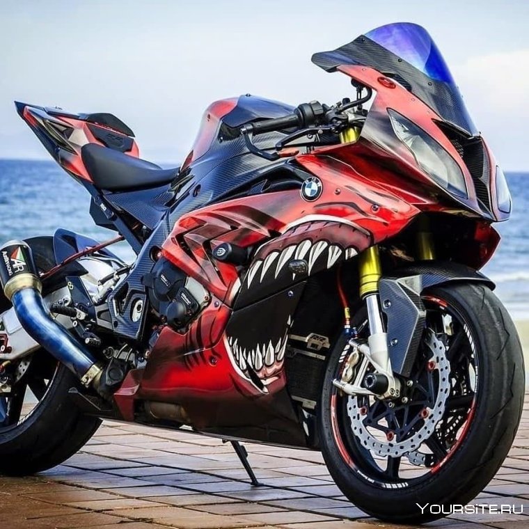 BMW s1000rr Shark