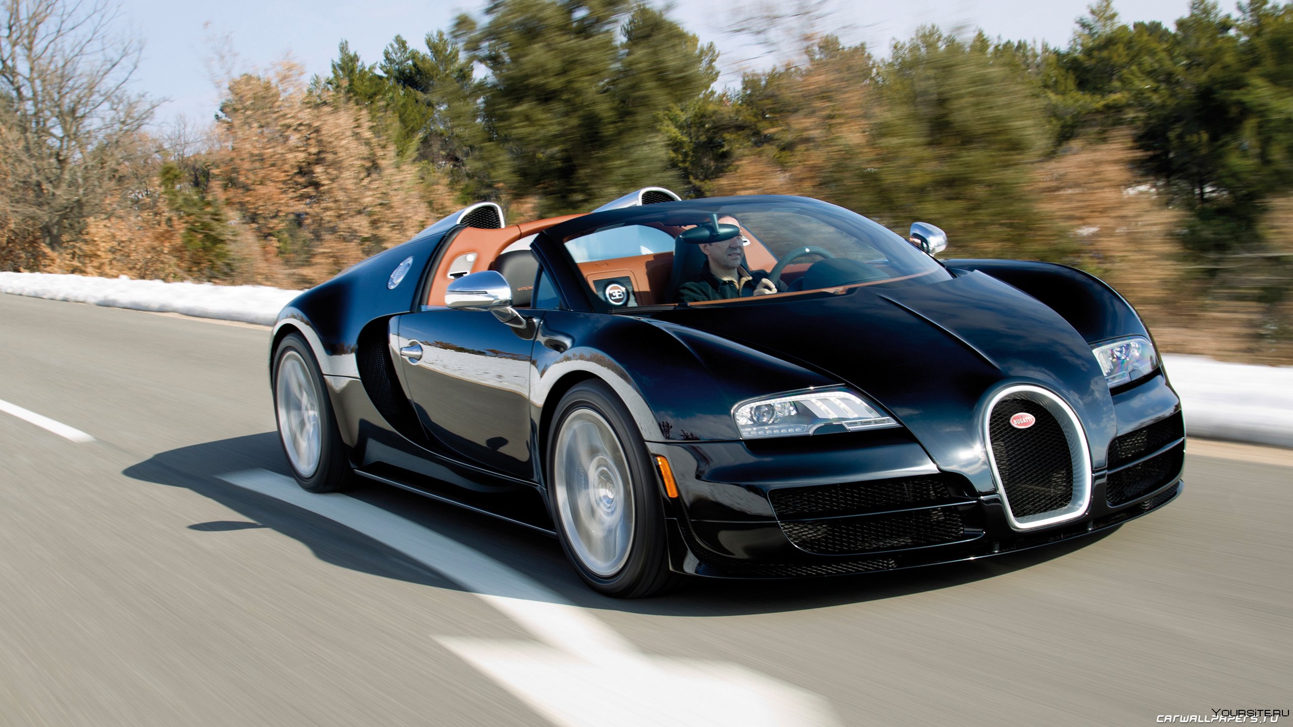 Veyron grand sport
