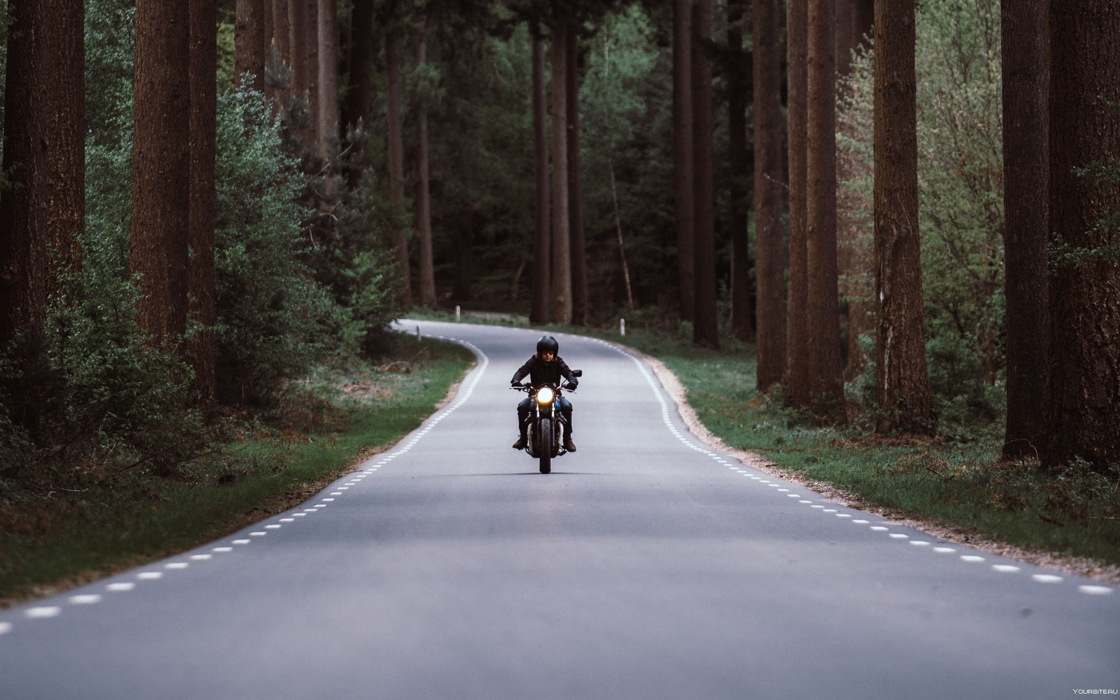Мотоцикл едет по дороге. Мотоцикл на дороге. Байкер на дороге. Дорога. Мотоцикл в лесу.