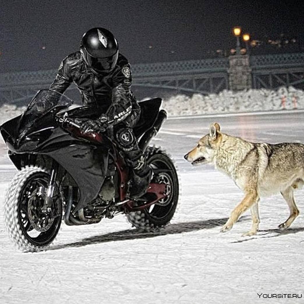 Зимний мотоциклист