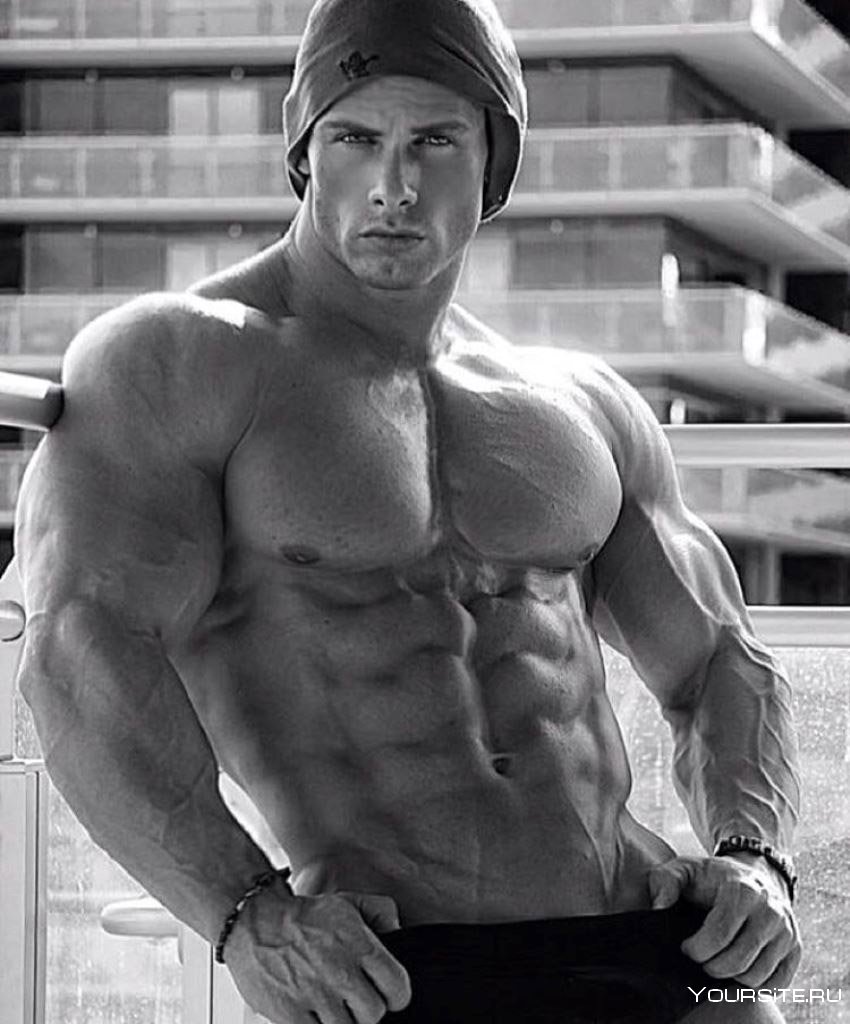 Joey Swoll
