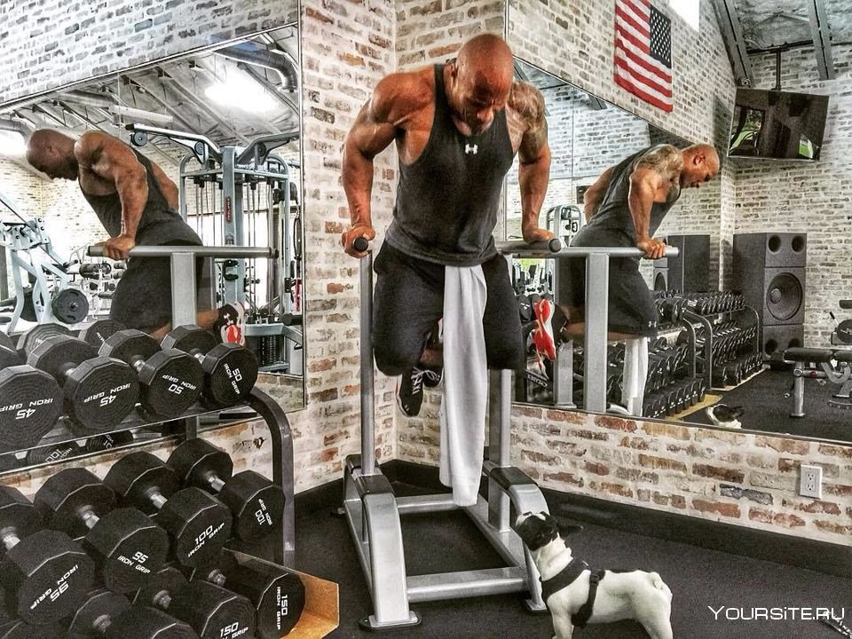 Дуэйн Джонсон Gym