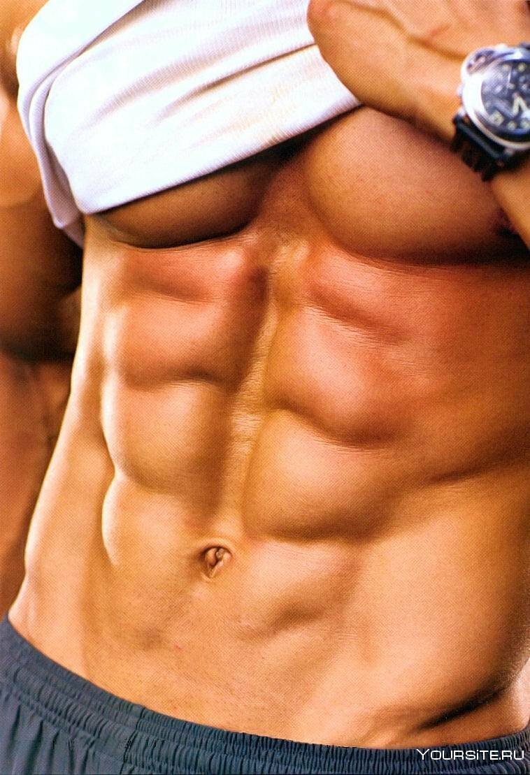 6 Pack ABS