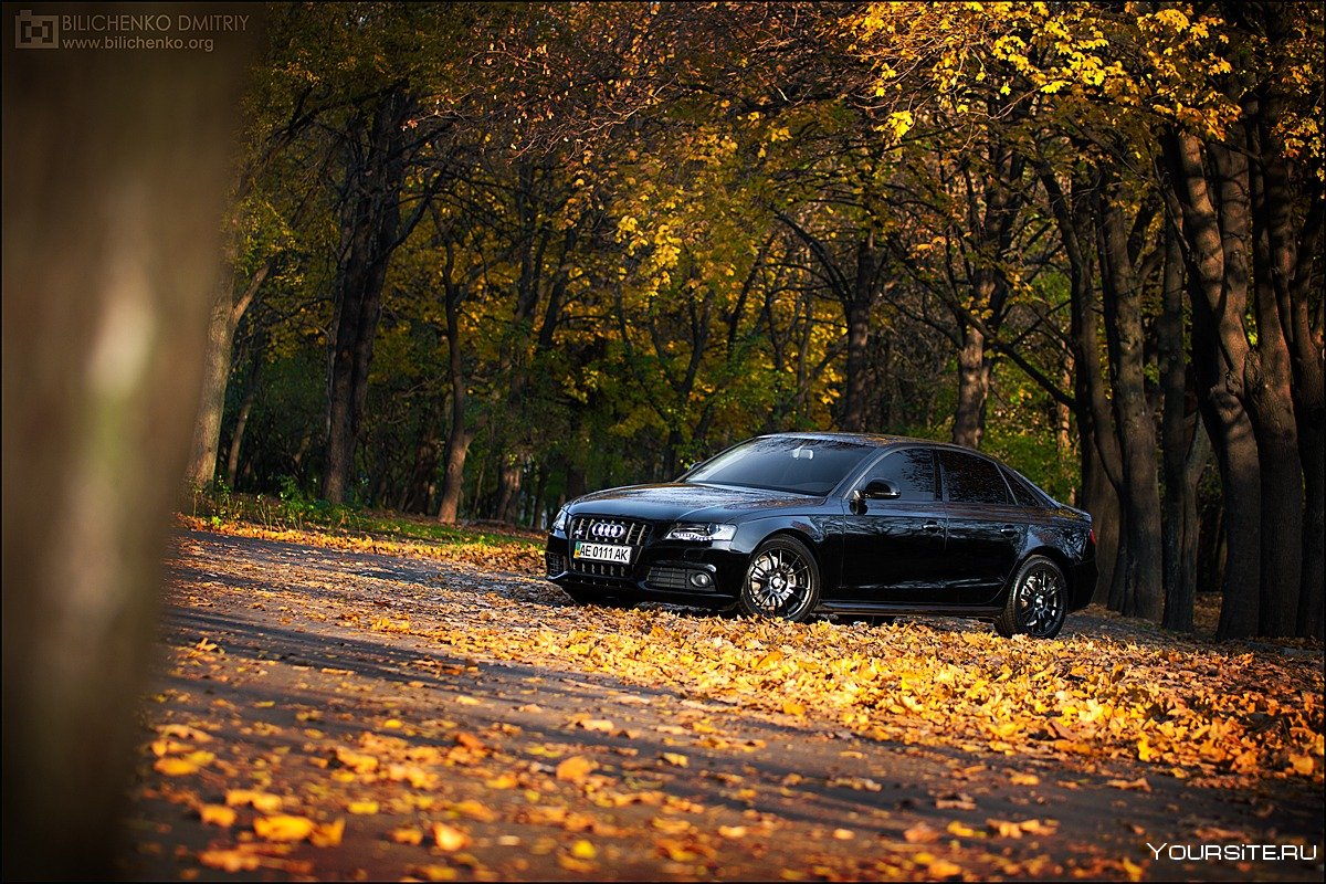 Audi a4 2007 черный осень