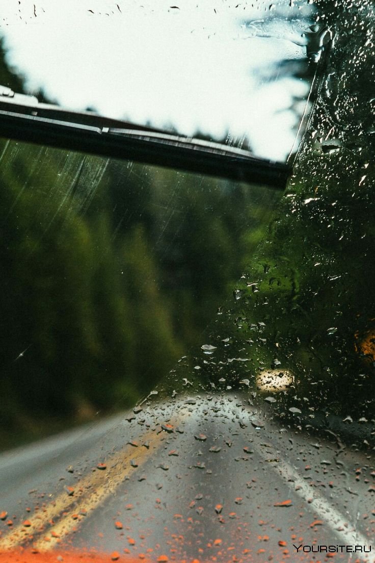 Вид из окна автомобиля дождь