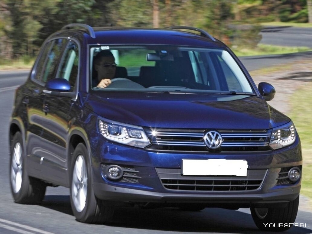 Volkswagen Tiguan 2015 синий