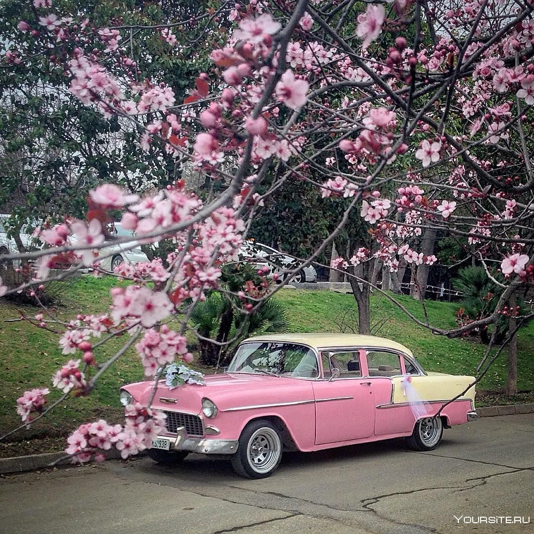 Розовая машина с цветами