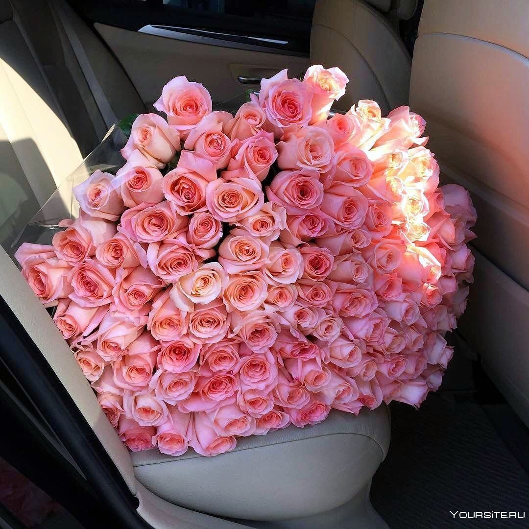 Цветы в машине