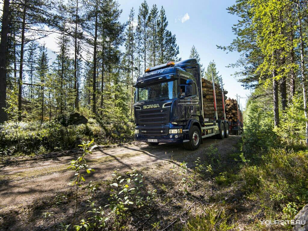 Scania r730 с лесом