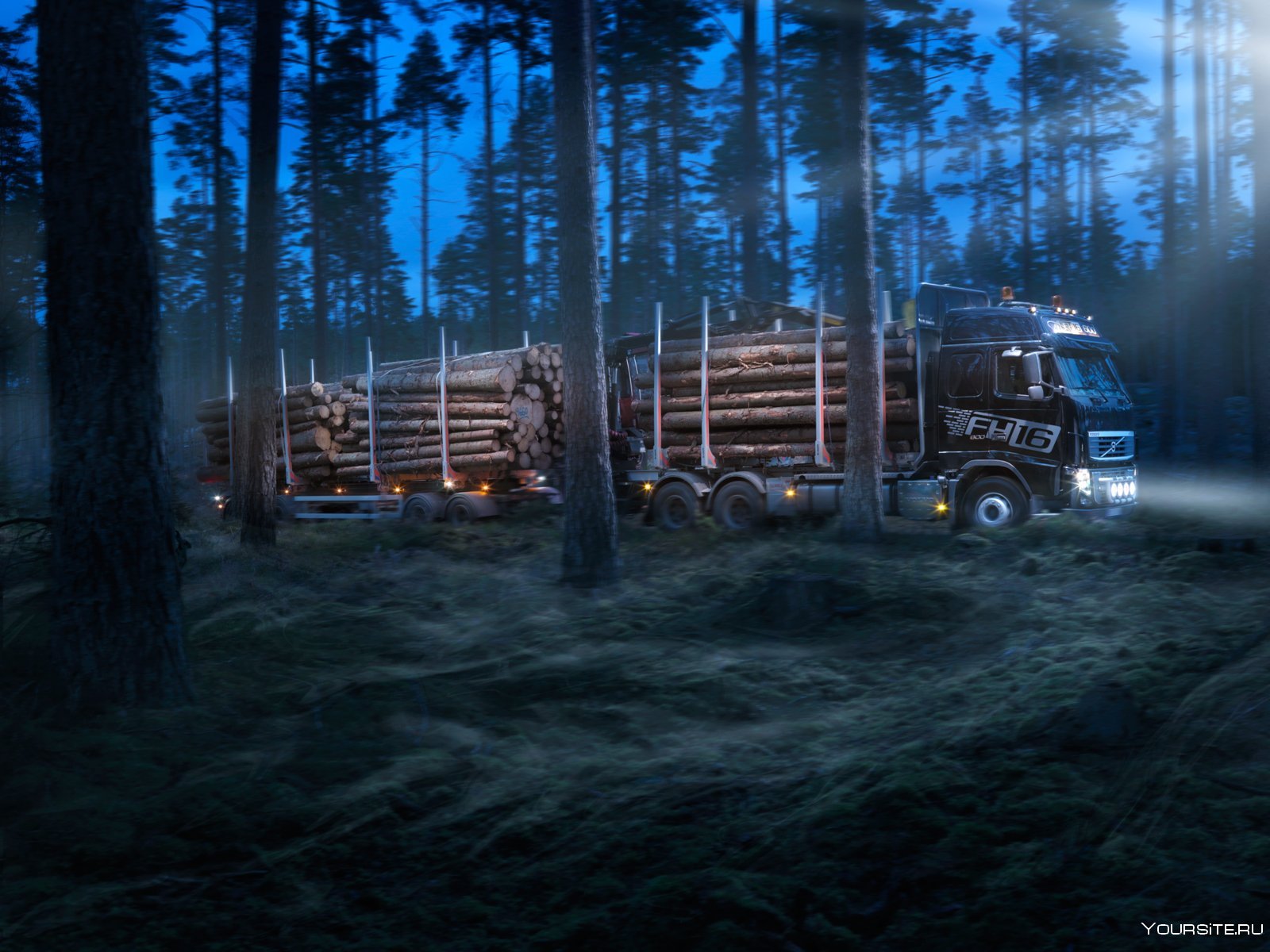 Грузовики лес. Volvo fh3 лесовоз. Volvo fh16 лесовоз. Volvo fh16 600. Вольво fh16 сортиментовоз.