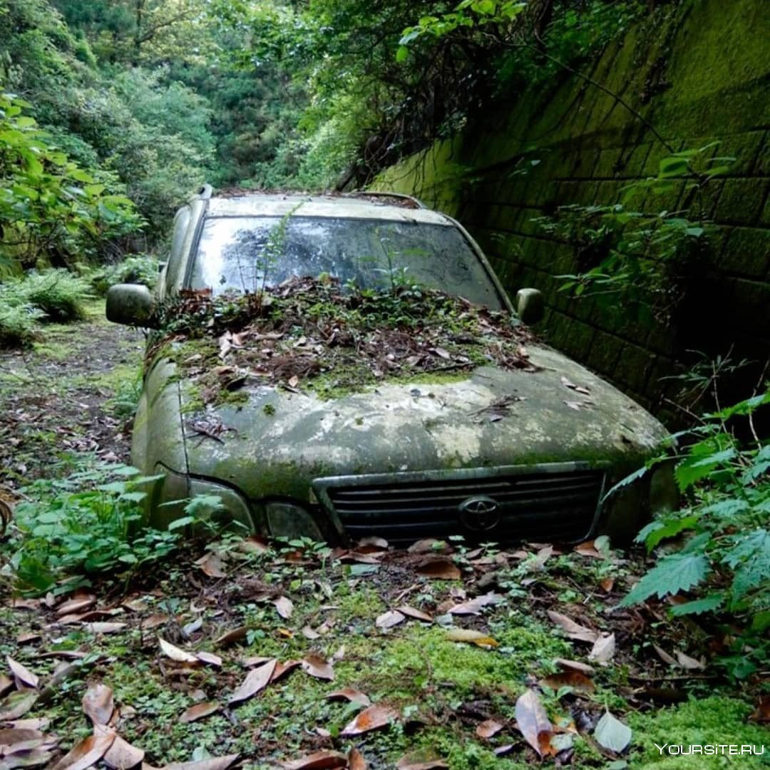 Старинные брошенные автомобили