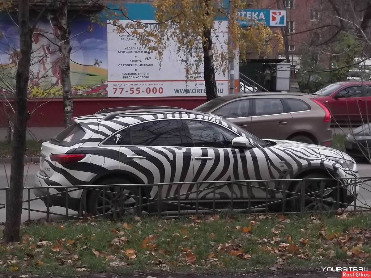 Зебра в прыжке