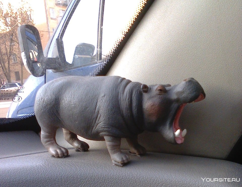 Машина Бегемотик