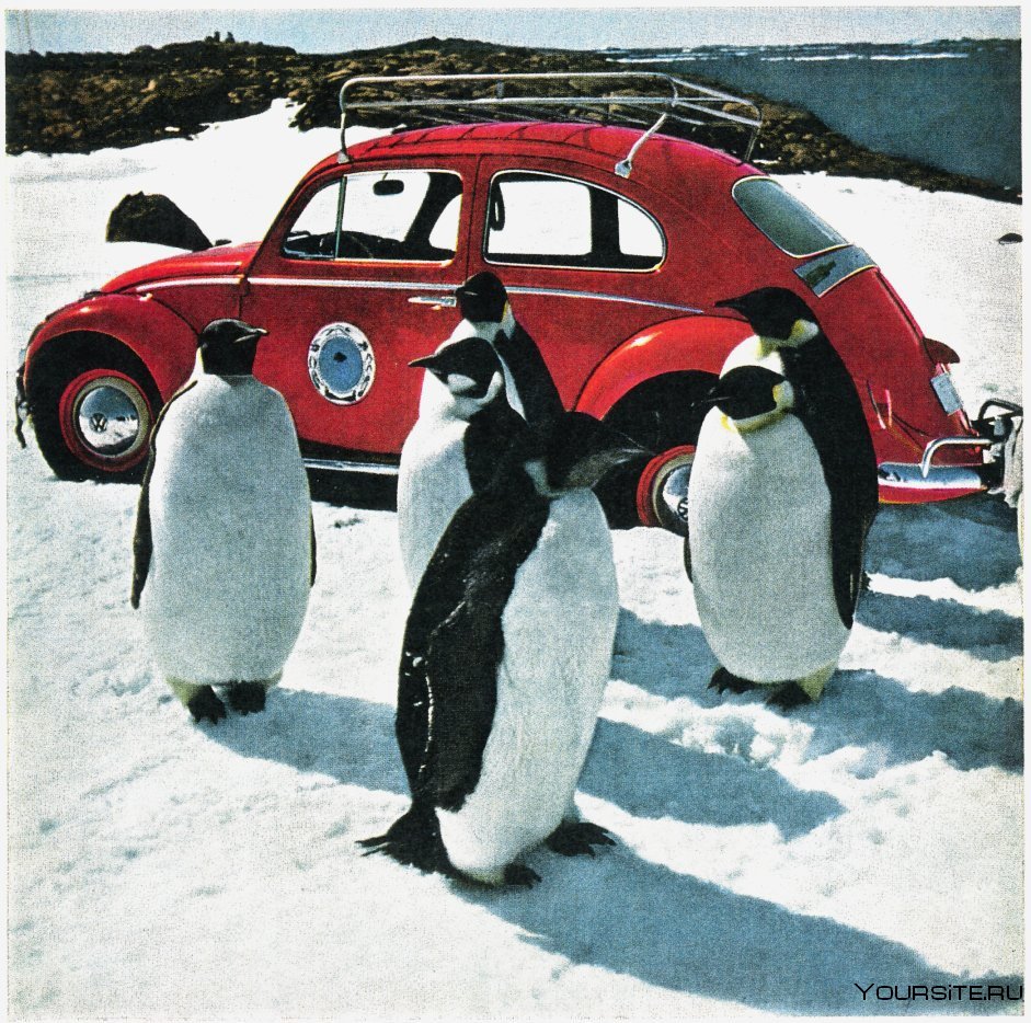 Автомобиль Пингвин