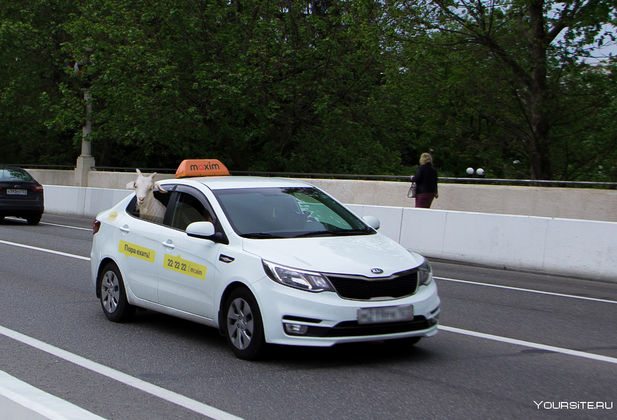 Машина для такси в 2024 году. Машина "такси". Автомобиль «такси». Белая машина такси.