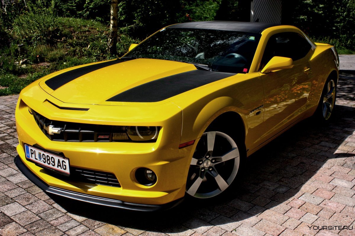 Chevrolet Camaro Sport