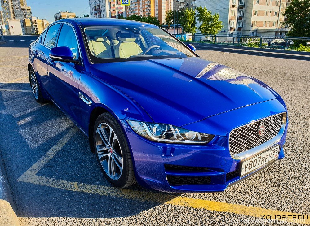 Jaguar xe синий