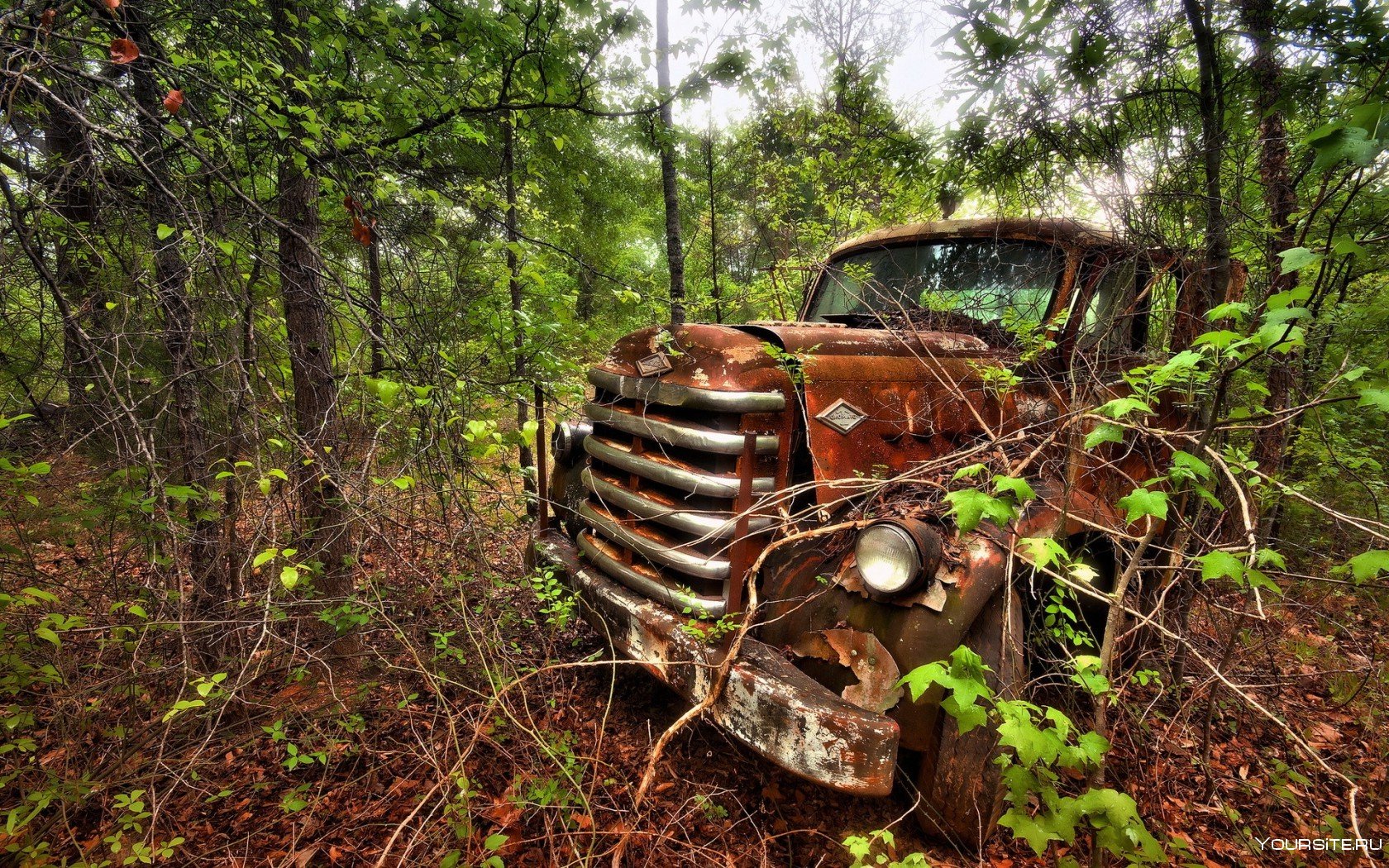 Капот в лесу. Машина в лесу. Старые заброшенные автомобили. Разбитая машина в лесу. Брошенная техника в лесу.