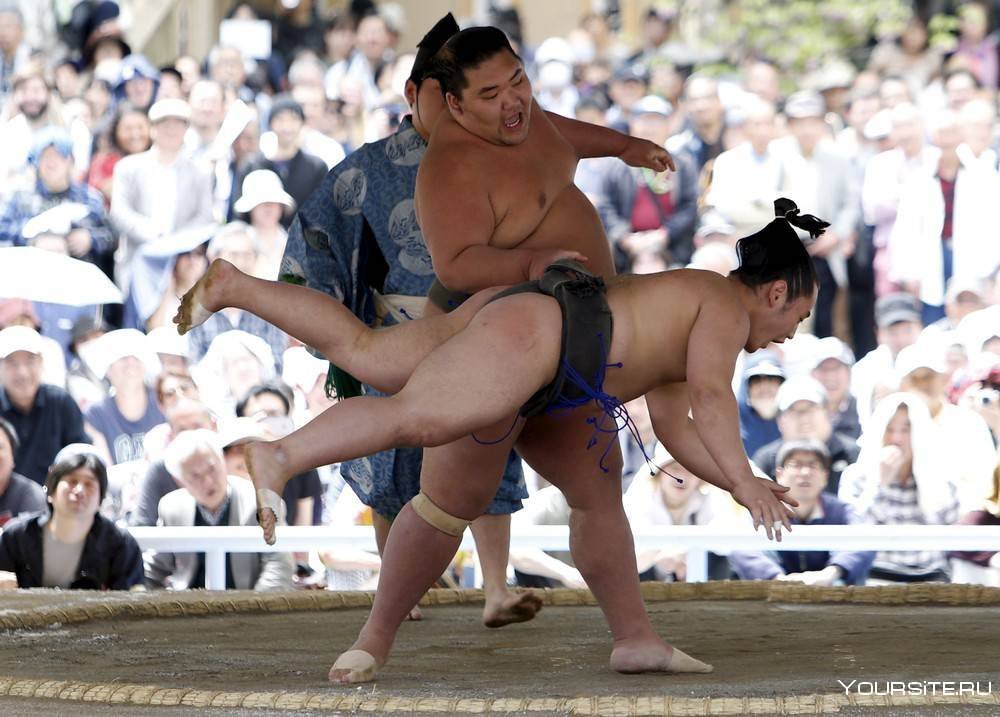 Борьба сумо Япония
