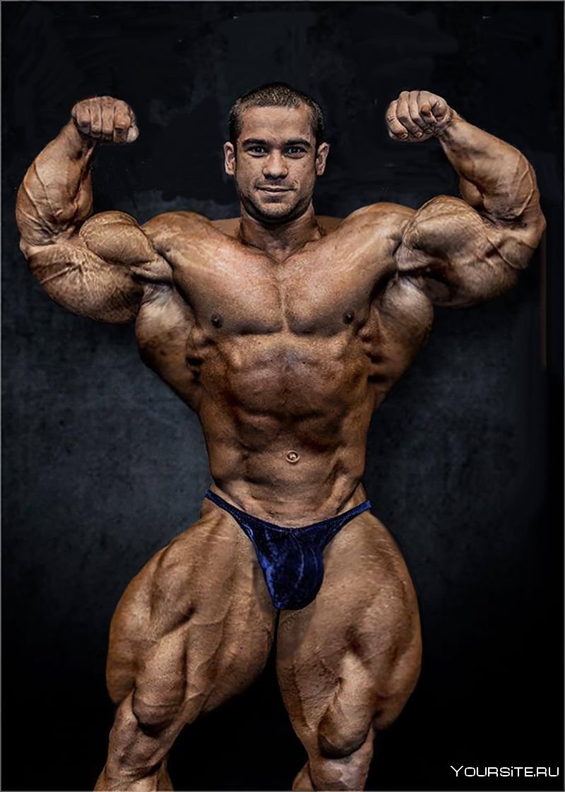 Seth feroce бодибилдинг
