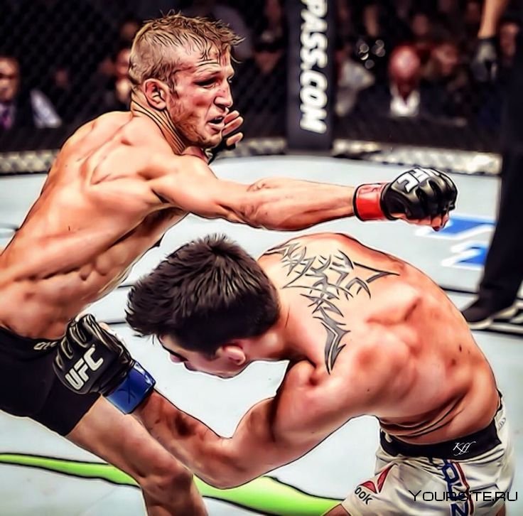 TJ Dillashaw Dominick Cruz