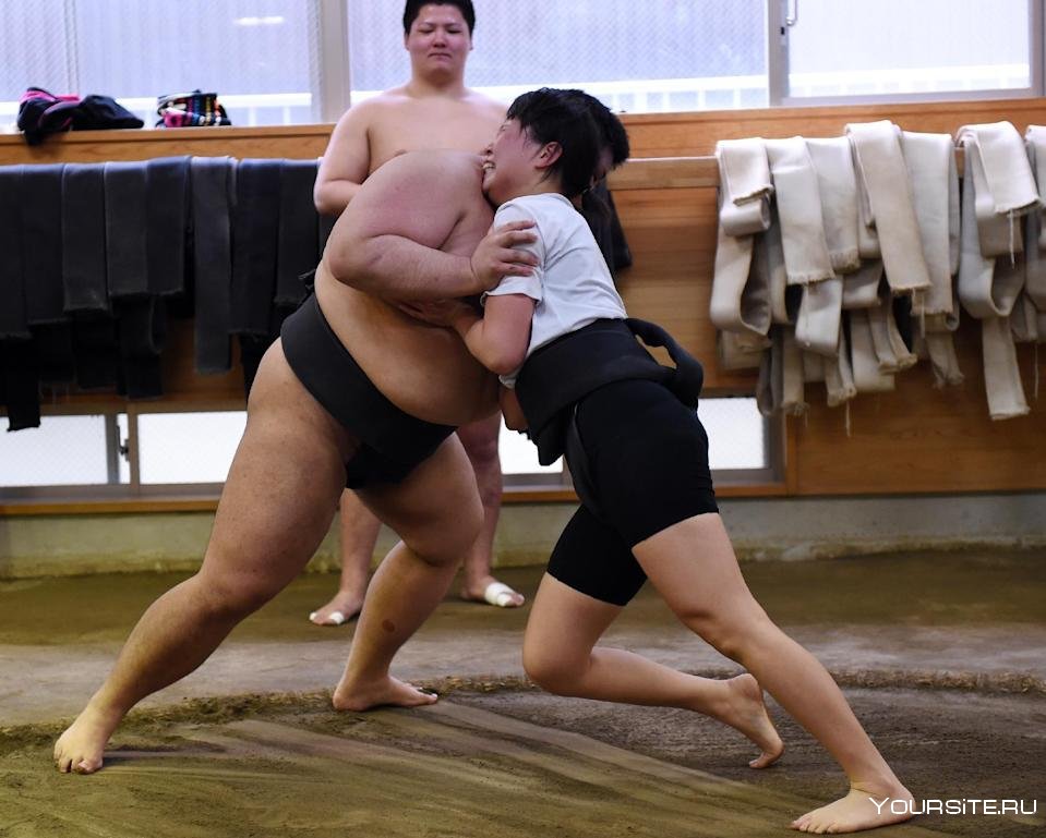 Женщины сумоистки самые большие