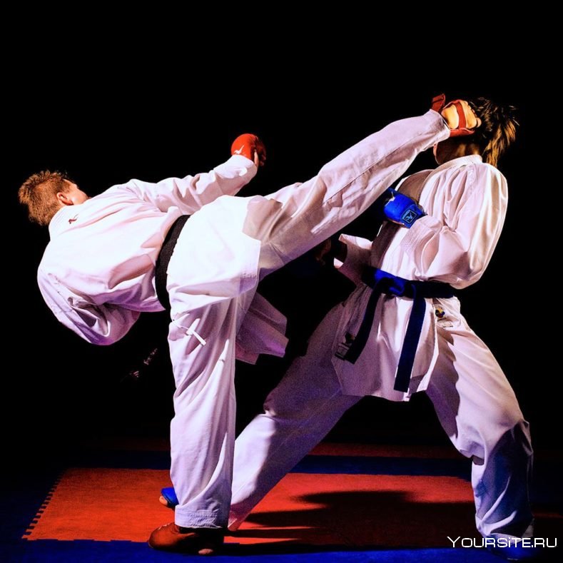 Karate WKF удары