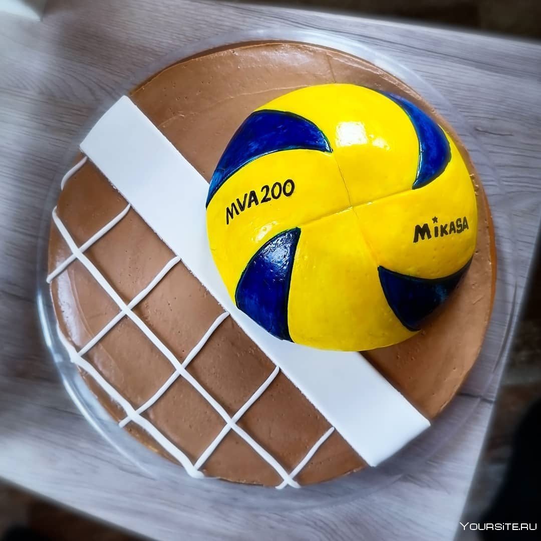 Волейбольный торт с днем рождения