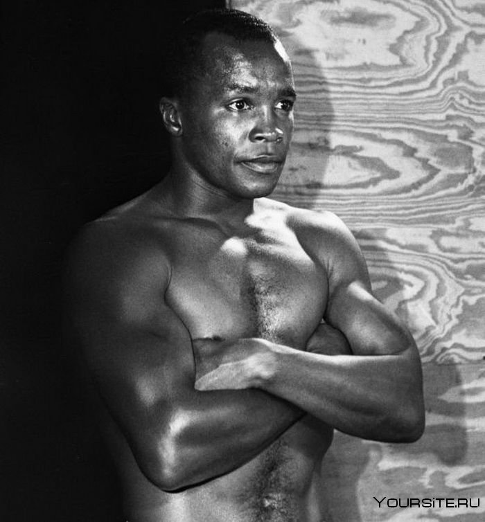 Боксёр по имени Шугар чернокожий фото