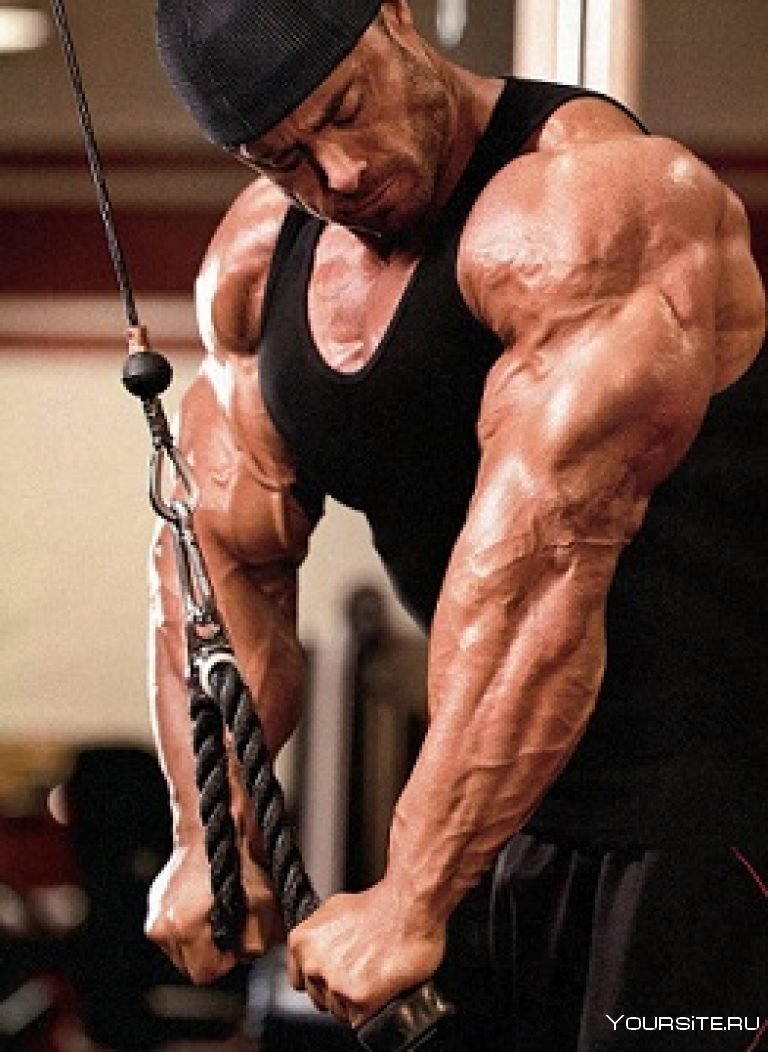 Frank MCGRATH (bodybuilder)