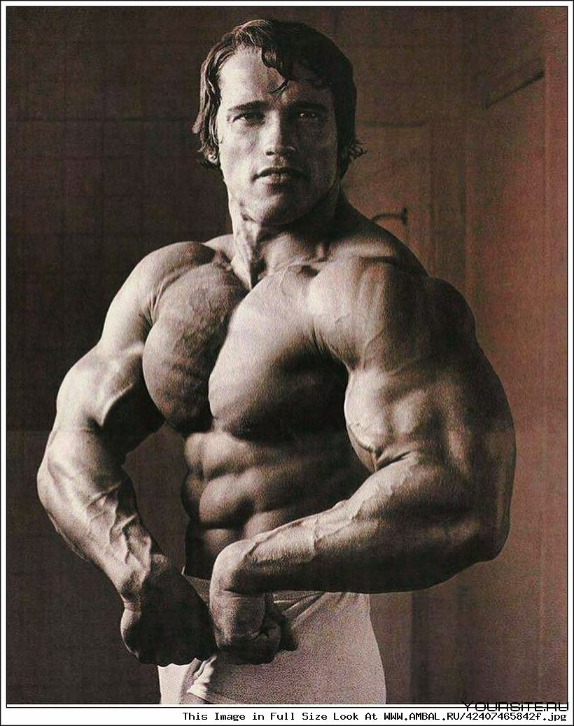 Arnold Schwarzenegger 1983